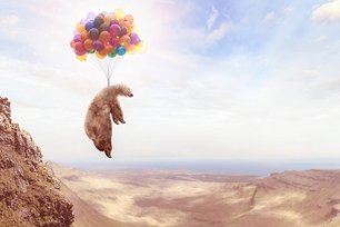 (c)VanHope - adobe.stock.com